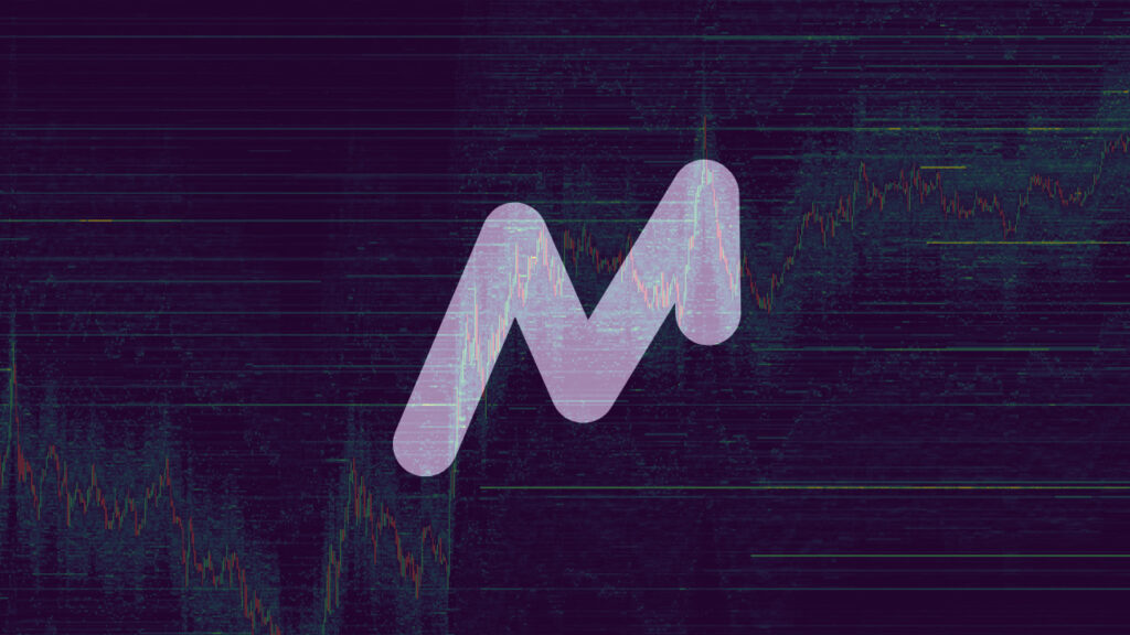 Market Monkey | Le Guide